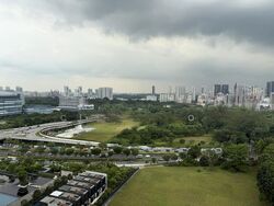Normanton Park (D5), Apartment #503094931